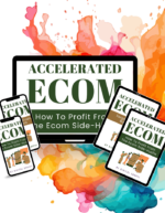 Accelerated Ecom: How To Profit From The Ecommerce Side-Hustle - Image 3